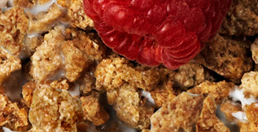 grape-nuts-home